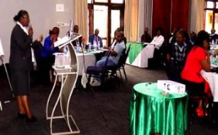Zimbabwe Tourism Industry Engages with ZIMRA Region 2 to Address Tax and Compliance Issues