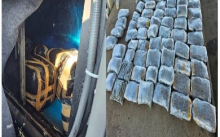 ZIMRA seize marijuana at Kazungula Border Post
