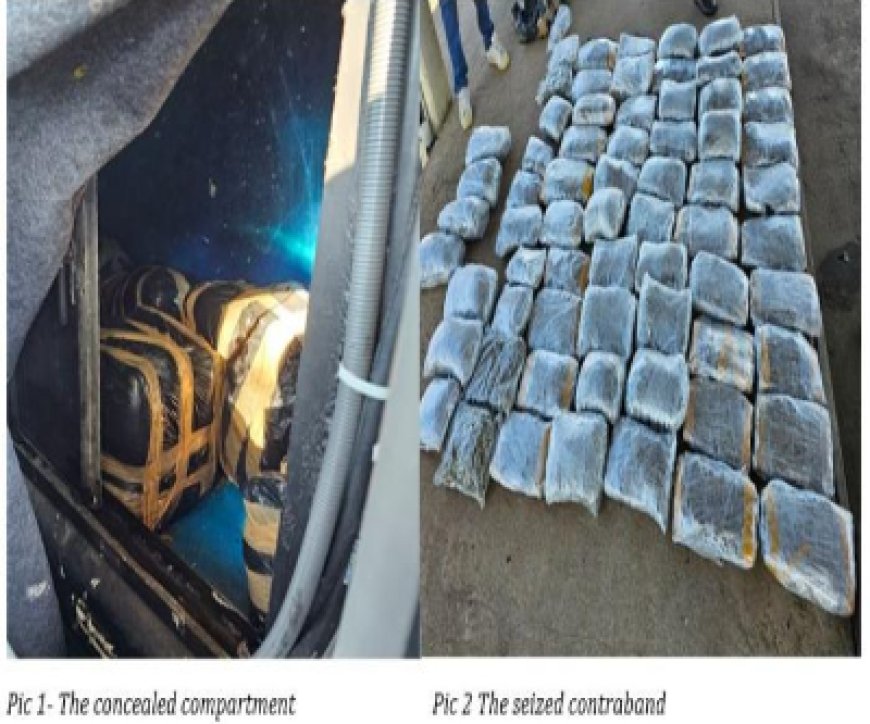 ZIMRA seize marijuana at Kazungula Border Post