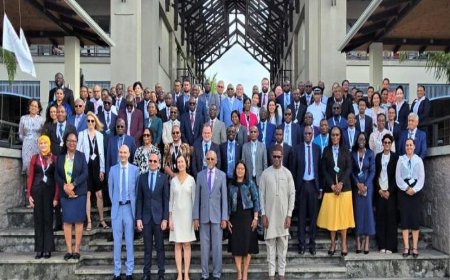 Zimbabwe Moves Closer to Global Tax Transparency Standards