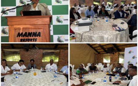 Culture Change Key in Overhauling the ZIMRA Brand