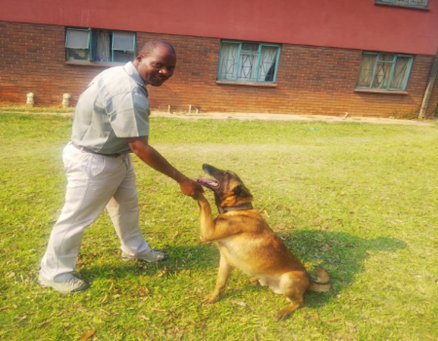 ZIMRA K9 indomitable in crime detection at border posts